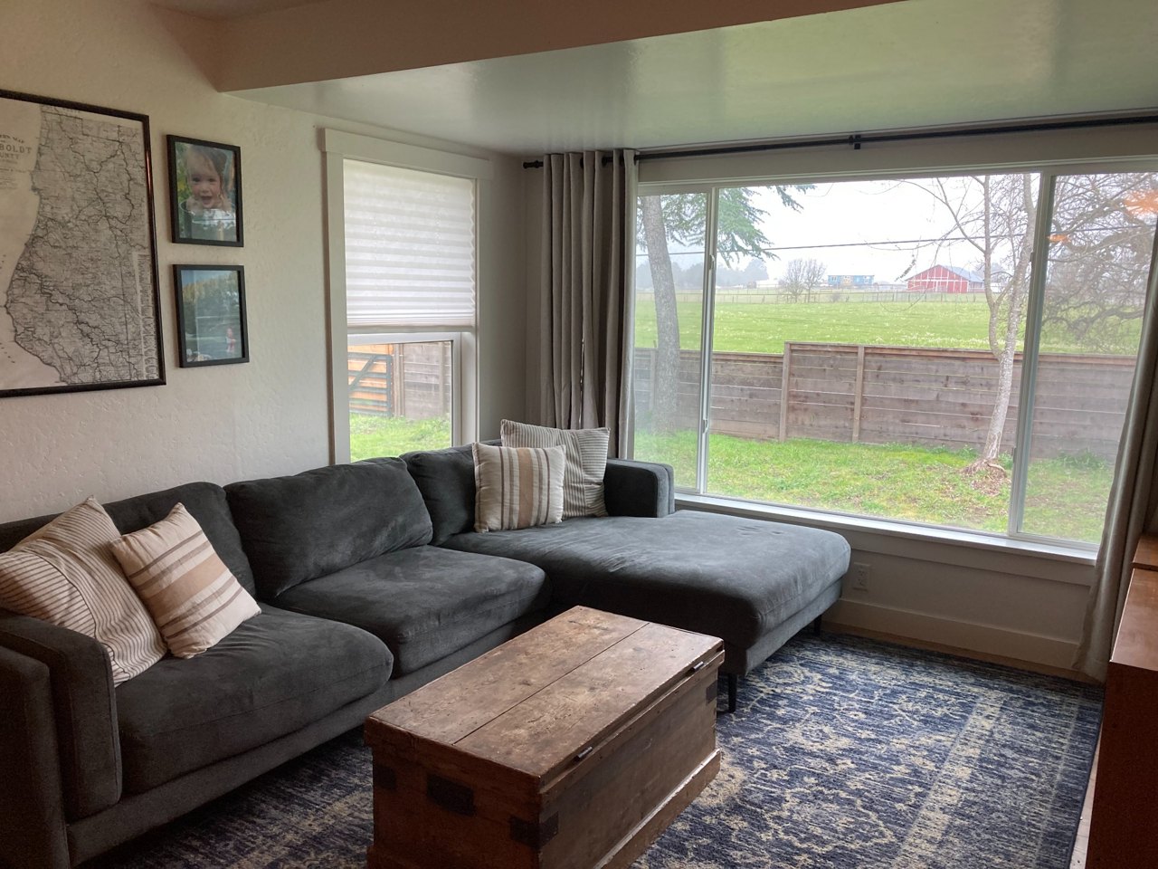 Large picture window overlooking a backyard